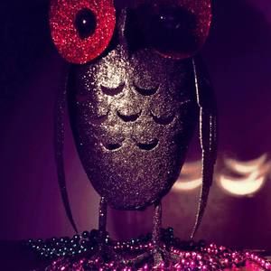 Meet your Posher, Rad